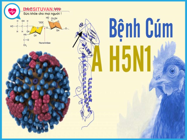 Dịch cúm gà H5N1