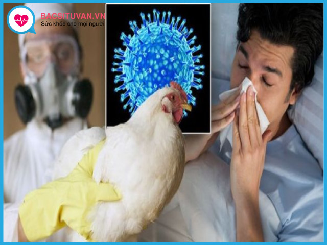 Dấu hiệu nhận biết cúm A H5N1