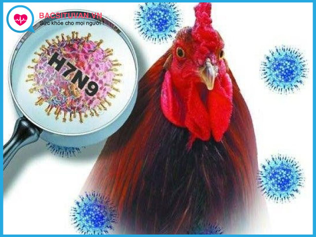 Nguyên nhân gây bệnh cúm A H7N9