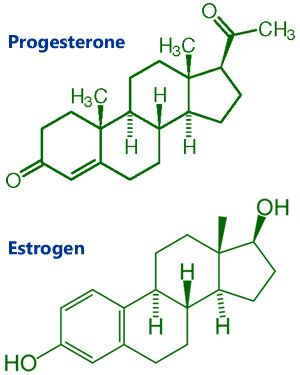 Image result for Progesterone và estrogen