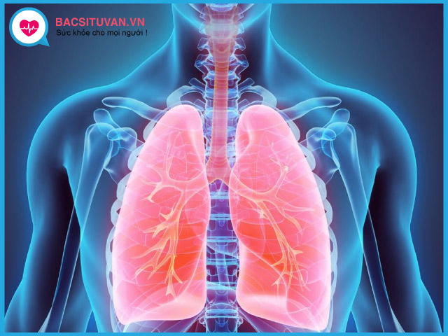 Nguyên nhân gây bệnh bụi phổi silic