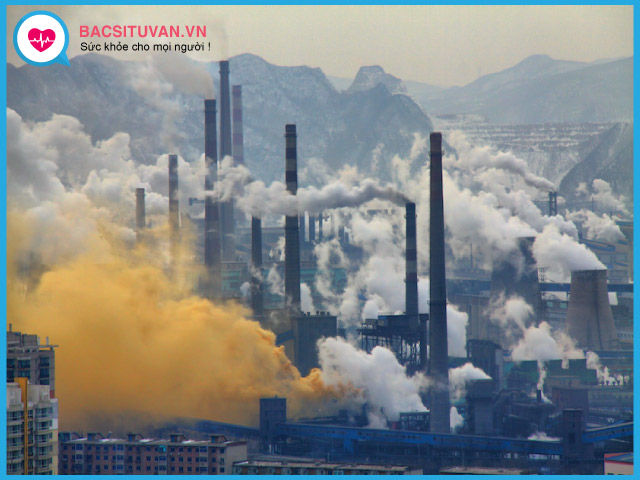 Nguyên nhân gây xơ phổi là do ô nhiễm môi trường lao động