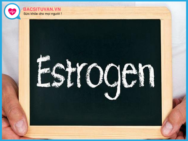 Bổ sung estrogen thảo dược để khắc phục tình trạng rối loạn nội tiết tố