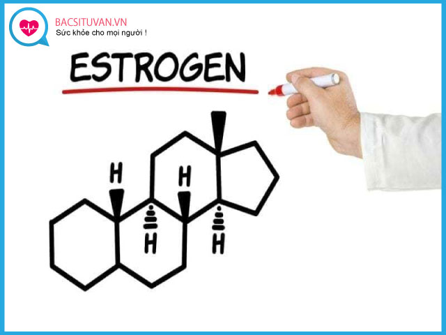 Nội tiết tố Estrogen bao gồm những loại nào?