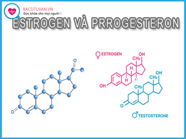 Hormone estrogen và progesterone là gì?