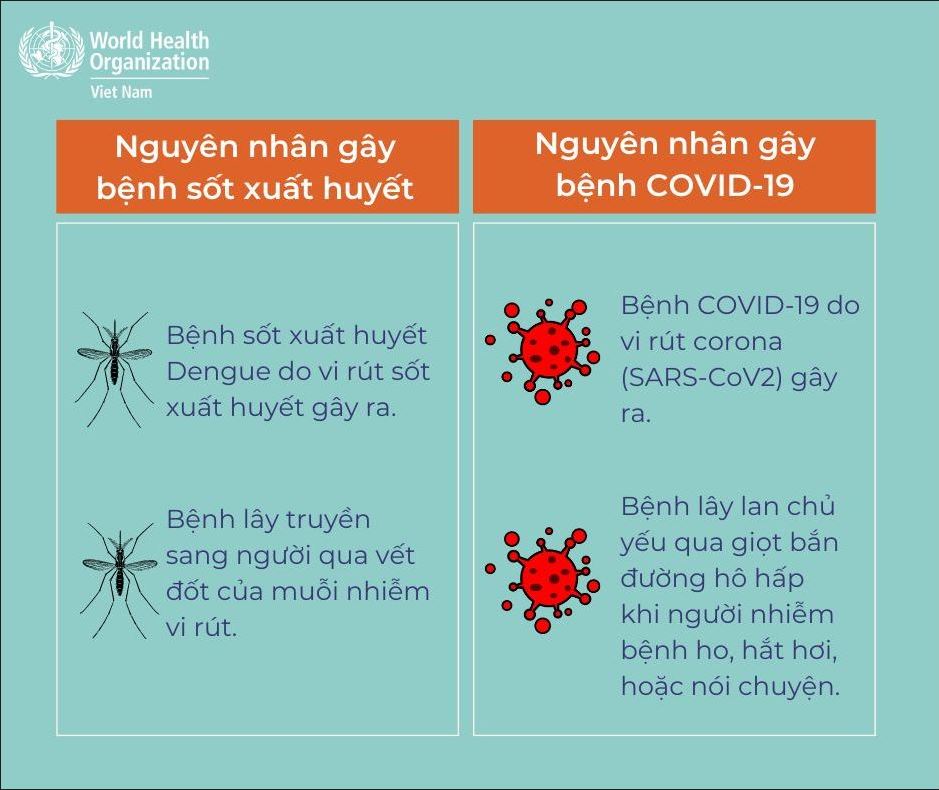 Nguyên nhân gây bệnh COVID-19 và sốt xuất huyết (Nguồn: WHO)