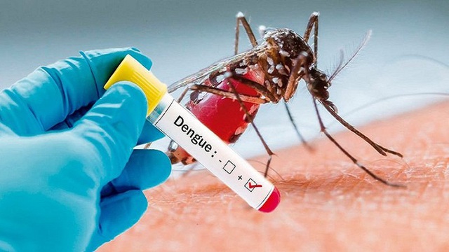 Thống kê về tình hình dịch bệnh sốt xuất huyết của các địa phương cho thấy tích lũy từ đầu năm đến nay cả nước ghi nhận 335.333 trường hợp mắc sốt xuất huyết.